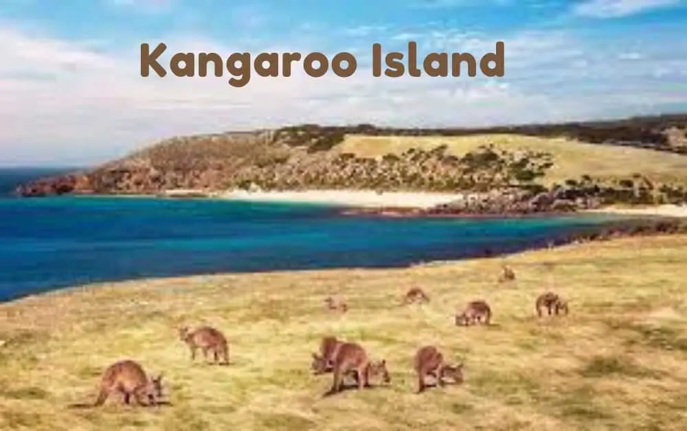 Kangaroo Island