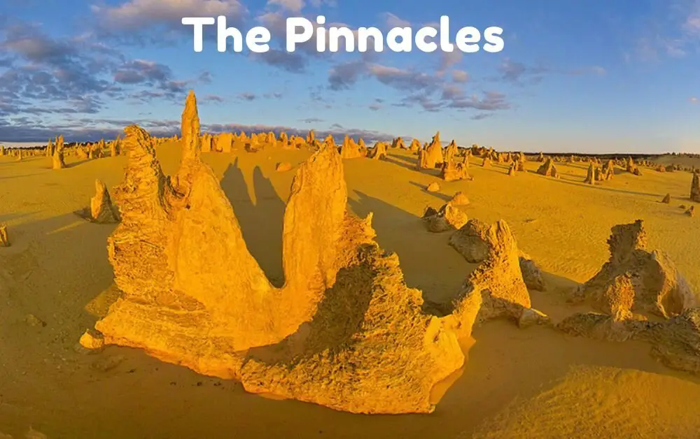 The Pinnacles 