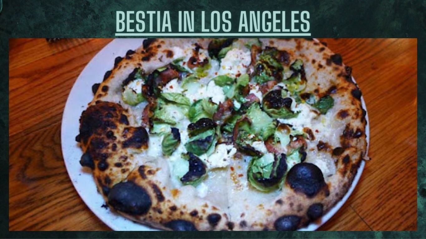 Top 7 Pizza in USA