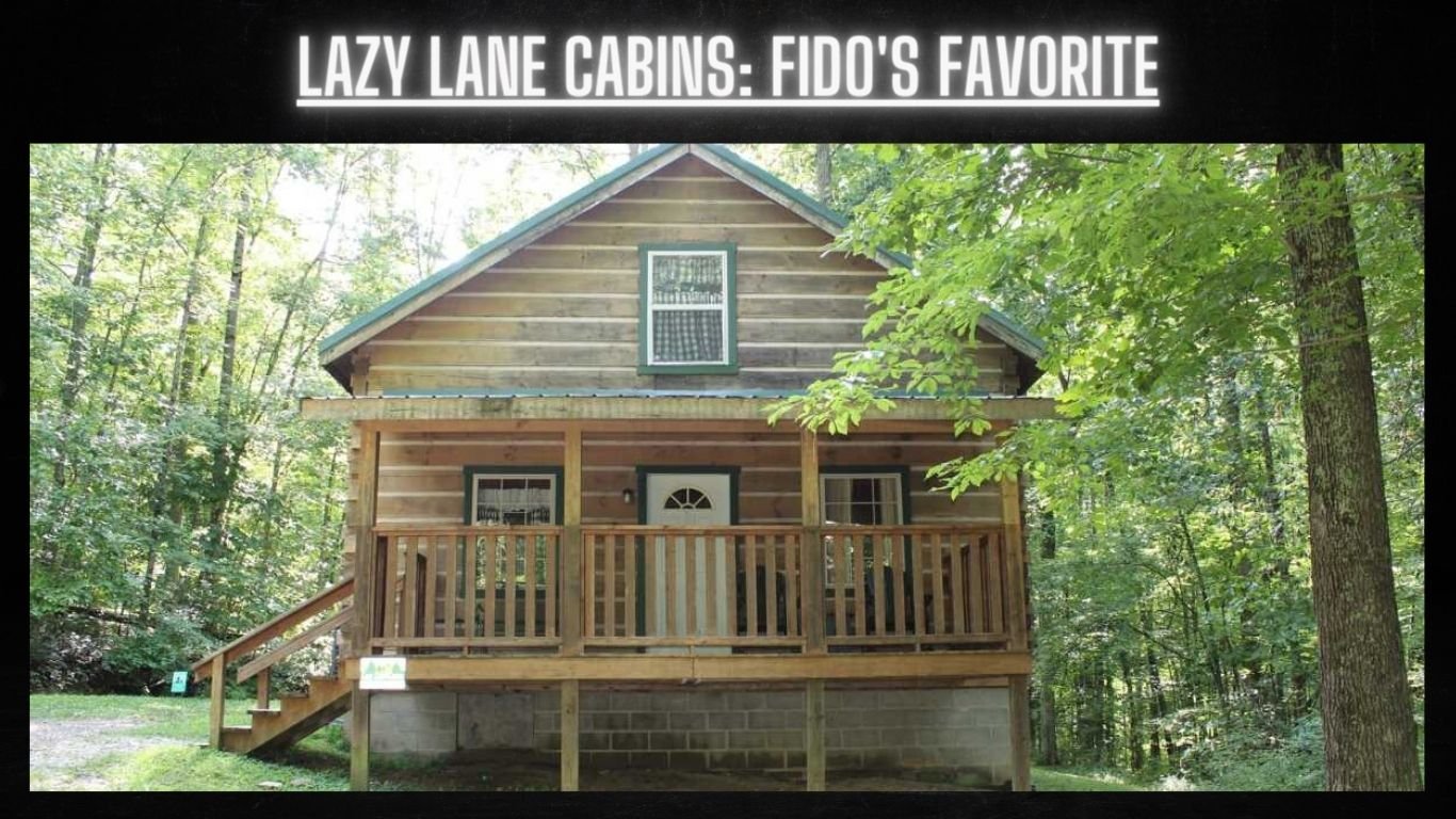 Pet Friendly Cabins in Hocking Hills