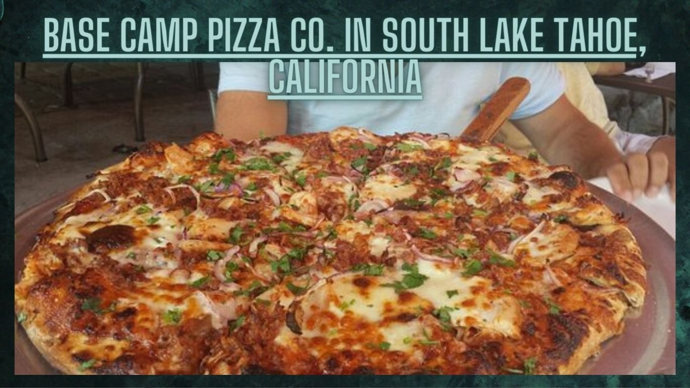 Top 7 Pizza in USA