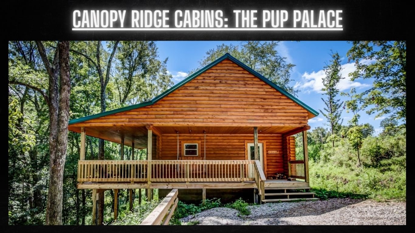 Pet Friendly Cabins in Hocking Hills