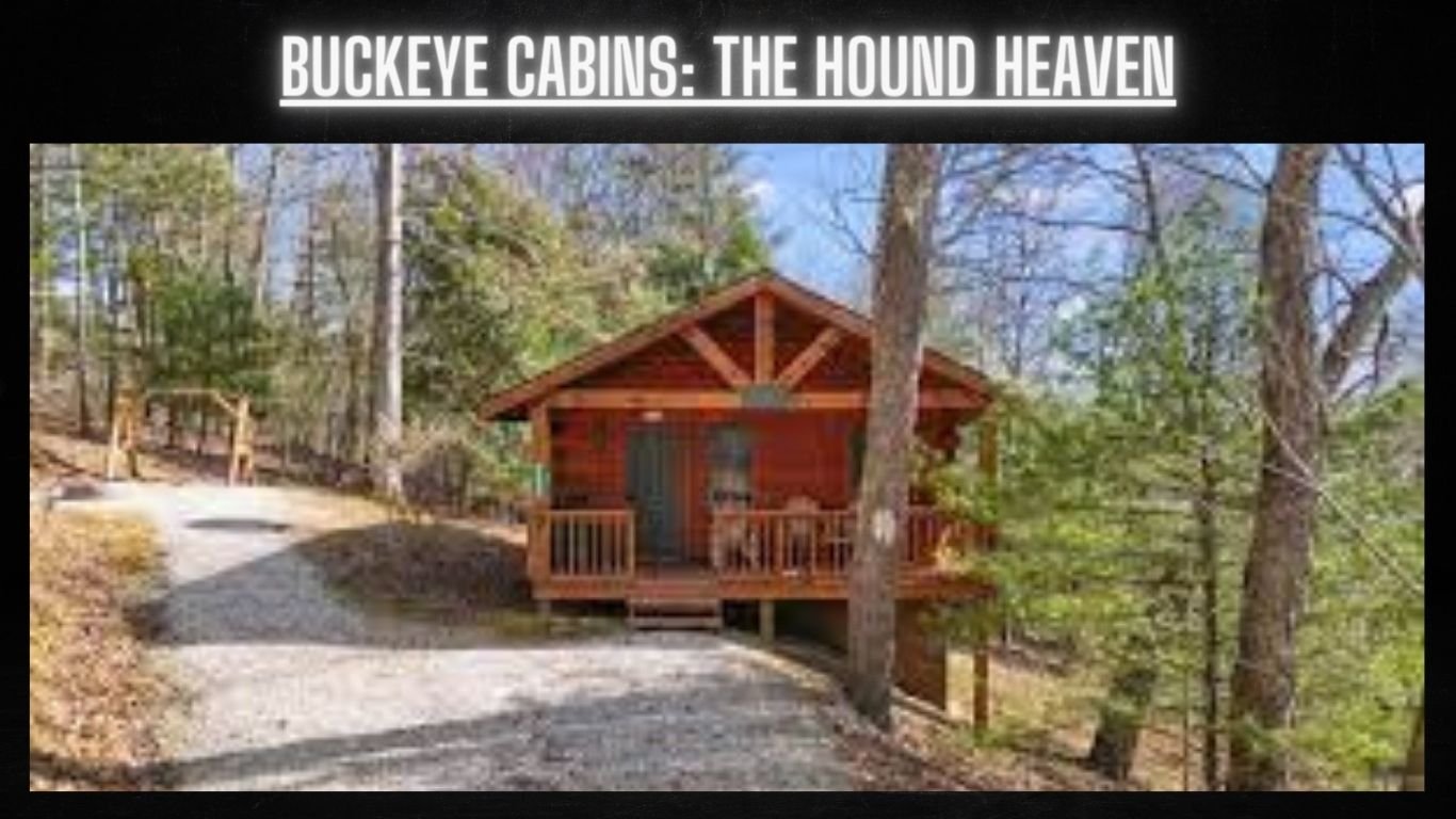 Pet Friendly Cabins in Hocking Hills