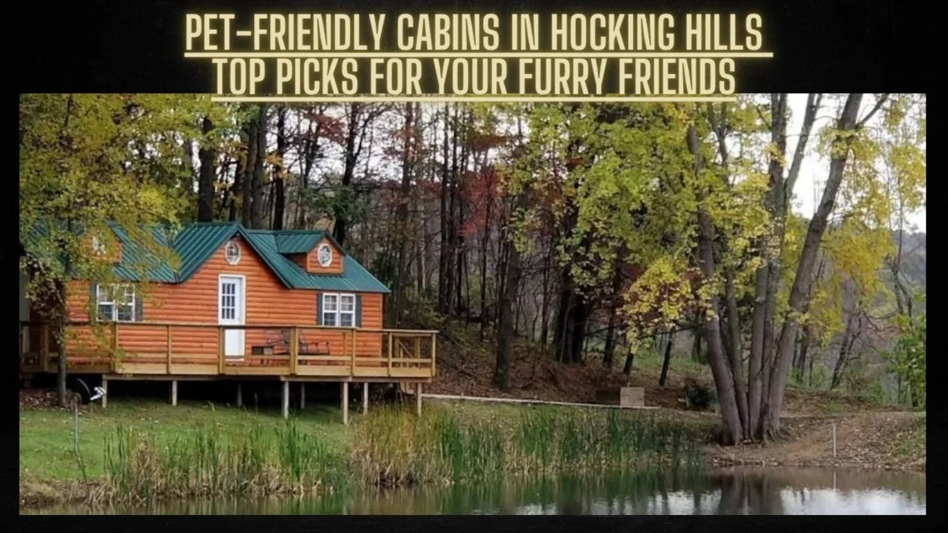 Pet Friendly Cabins in Hocking Hills: Top Picks for Your Furry Friends