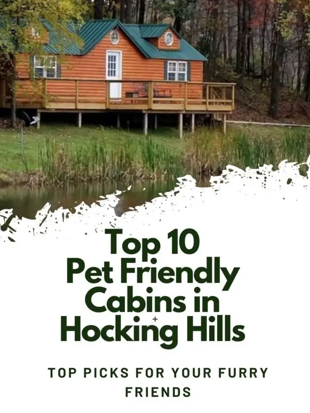 Pet-Friendly Cabins in Hocking Hills